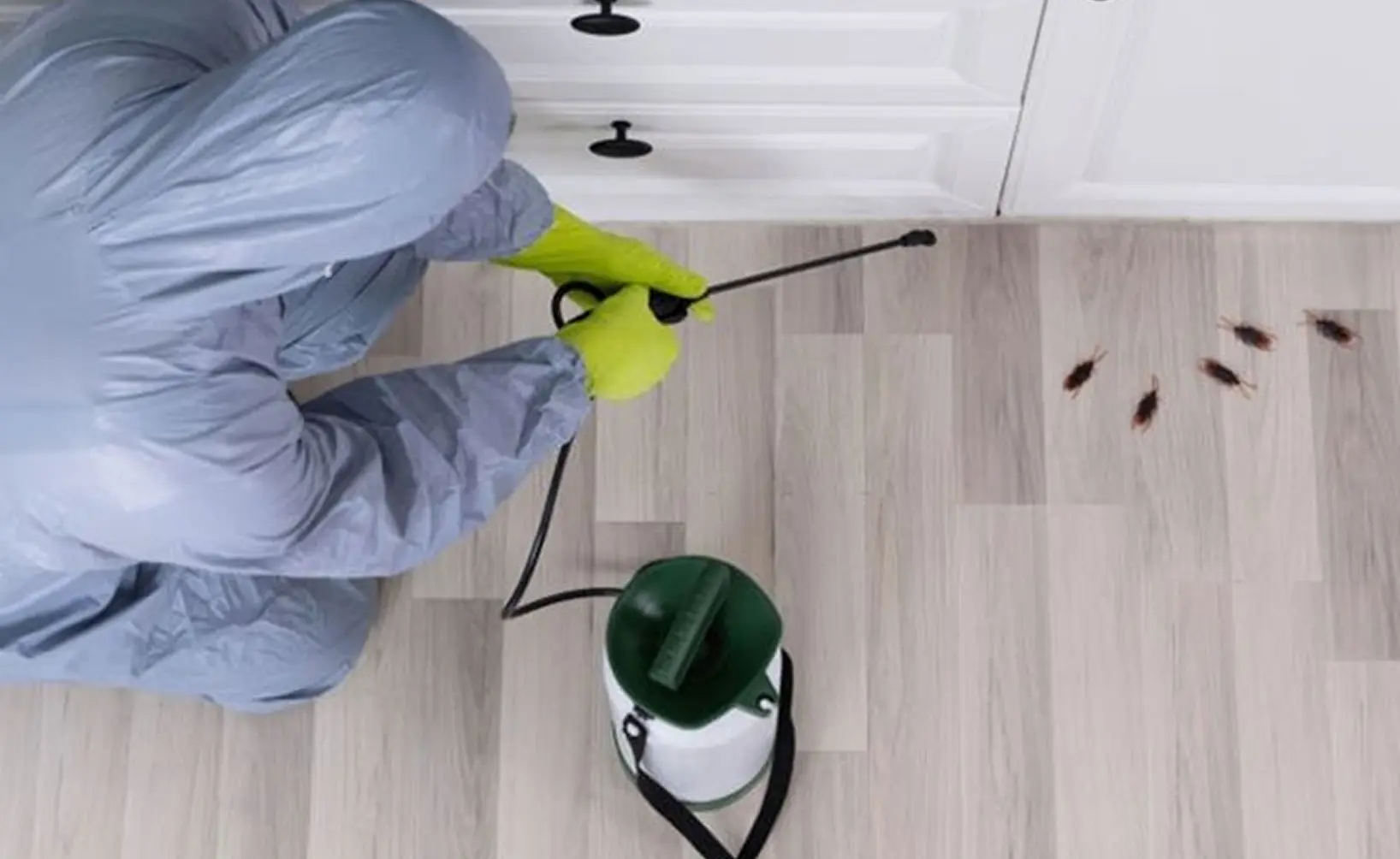 Keep Your Space Pest-Free: Proven Prevention & Control Strategies